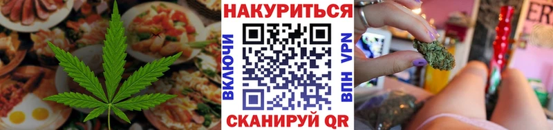 Купить закладки  Елизово  Cannafood конопля 