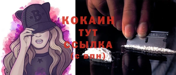 твердый Аркадак