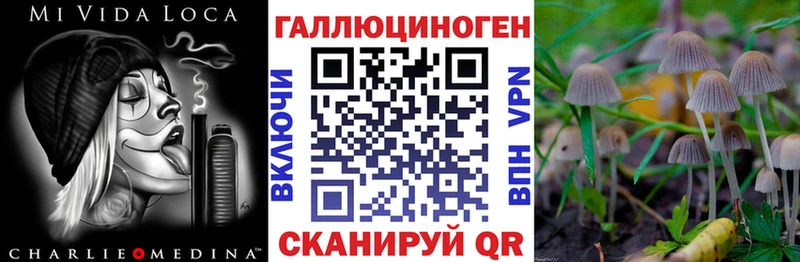 Купить  Елизово  Галлюциногенные грибы мухоморы 